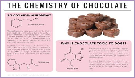 What is the chemistry of chocolate?